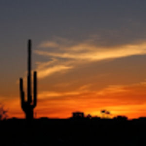 Meet your Posher, Hook and frog